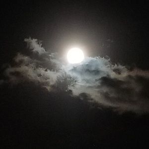 Meet your Posher, Evelyn